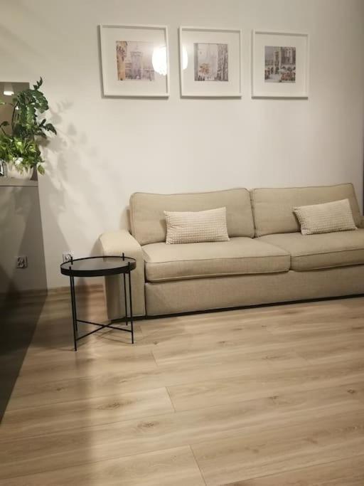 Апартаменты Uroczy, Jasny Apartament Oraz Bezplatny Parking! Краков Экстерьер фото
