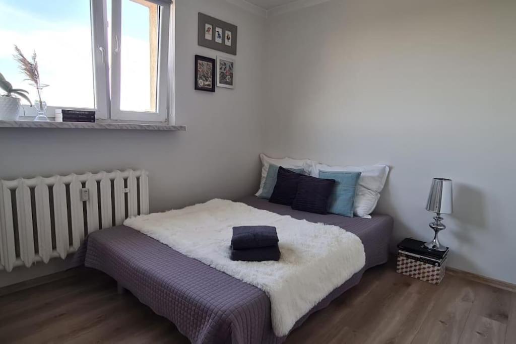 Апартаменты Uroczy, Jasny Apartament Oraz Bezplatny Parking! Краков Экстерьер фото